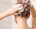 Organic Shampoo and Conditioner Bars